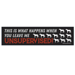 Horse Hollow Press Bumper Sticker - "Unsupervised"