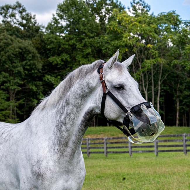 Thinline Flexible Filly Slow Feed Grazing Muzzle image number null