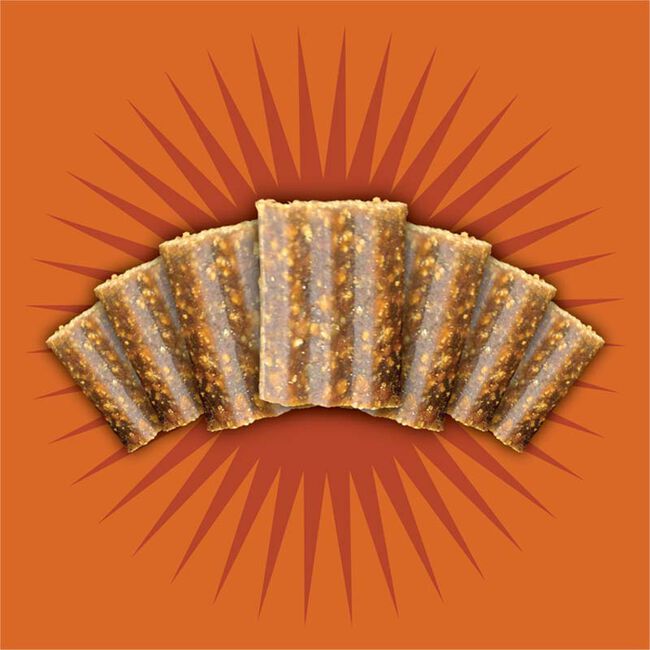 Triumph Free Spirit Grain-Free Dog Treats - Turkey, Vegetable & Cranberry Recipe - 20 oz image number null