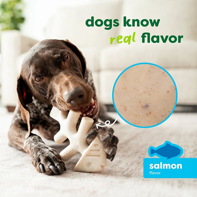 Benebone Green Plant-Based Chew Toy - Fishbone image number null