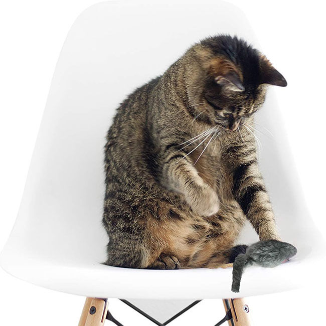 Spot Plush Mice Cat Toys - 2-Pack image number null