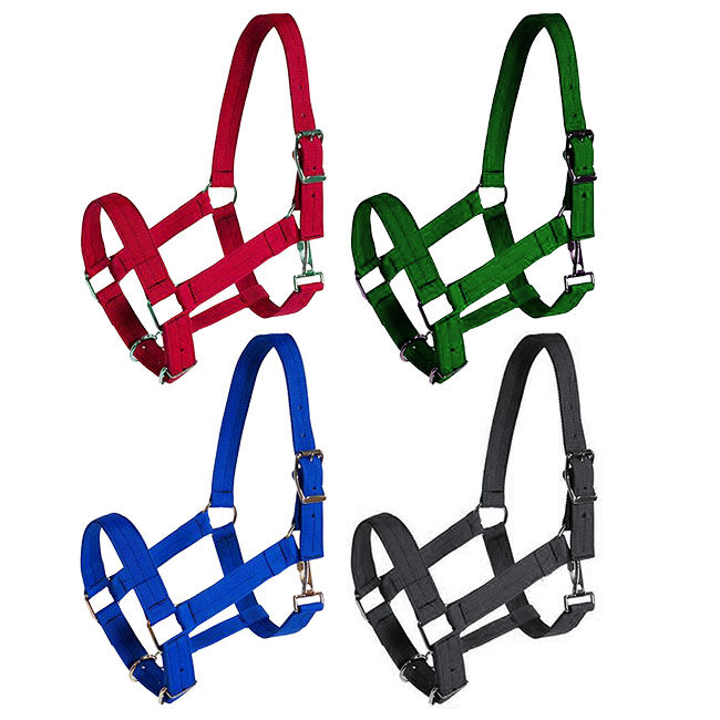 Triple E 1-1/2" Adjustable Poly Web Draft Halter image number null