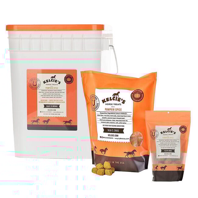 Kelcie&rsquo;s Horse Treats - Pumpkin Spice image number null