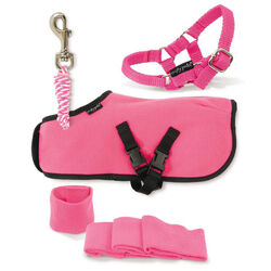 Crafty Ponies Toy Fleece Rug Set - Pink