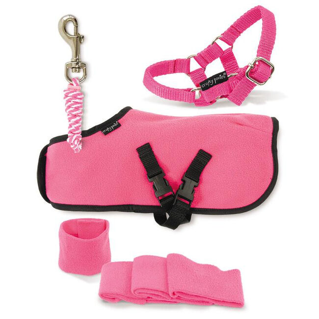 Crafty Ponies Fleece Rug Set  image number null