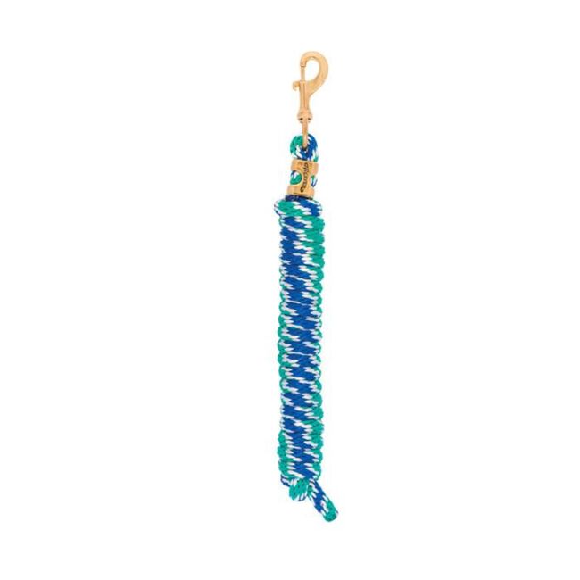 Weaver Poly Lead Rope with a Solid Brass 225 Snap in Cinnamon