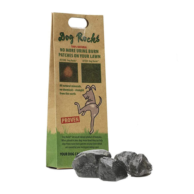 Podium Pet Dog Rocks - Grass Burn Preventative image number null