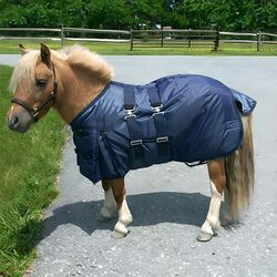 Intrepid International Mini Horse Turnout Blanket - Navy
