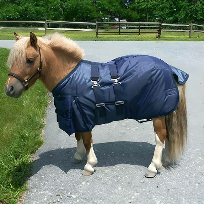 Intrepid Mini Horse Turnout Blanket Navy image number null