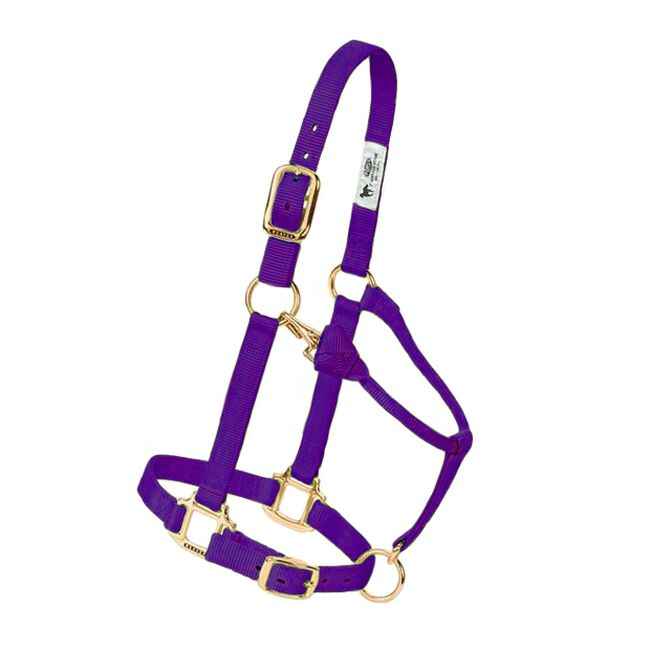 Weaver Adjustable Nylon Halter - Purple image number null