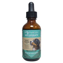 Wapiti Labs Recuperate Herbal Supplement for Dogs - 2 oz
