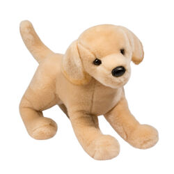 Douglas Mandy the Yellow Lab