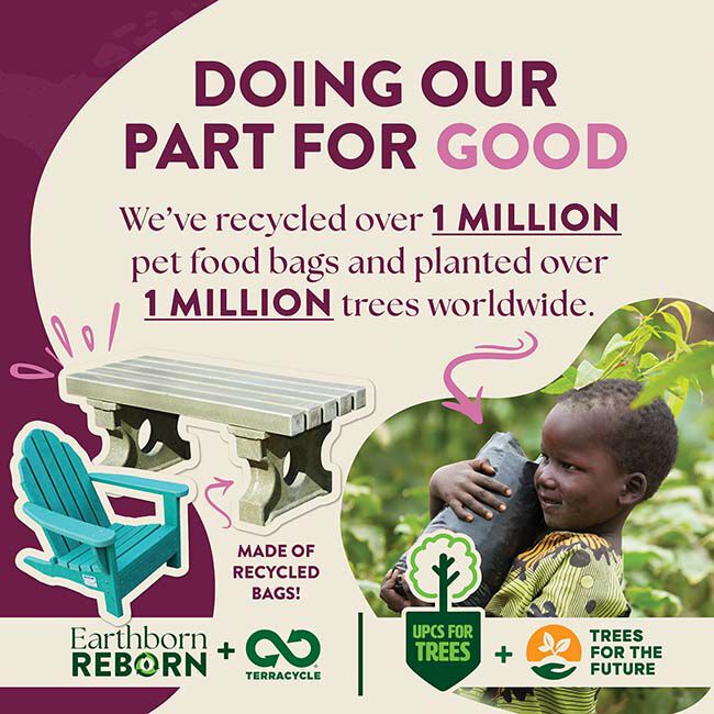 Earthborn Holistic Venture Limited Ingredient Dog Food - Rabbit Meal & Pumpkin Recipe image number null