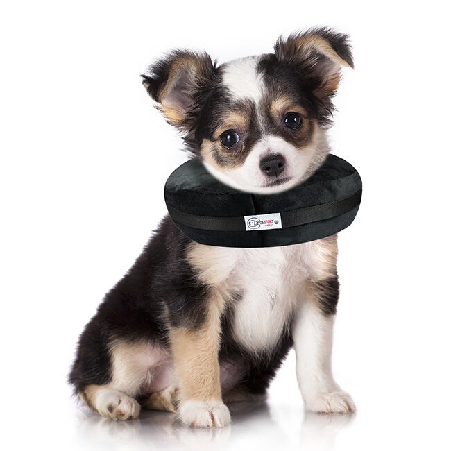 Comfurt Collar Pet Recovery Collar image number null