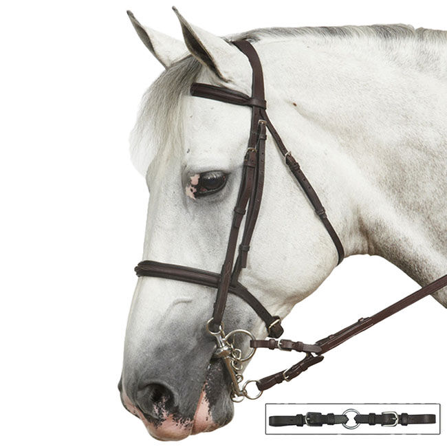 Ovation Euro Bit Converter image number null