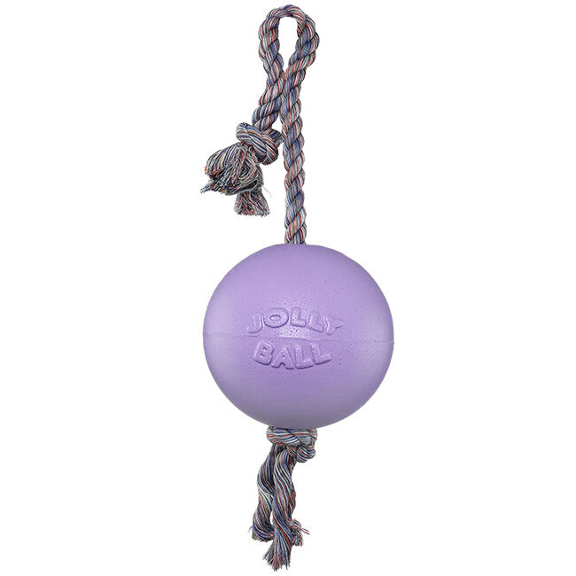 Jolly Pets Romp-N-Roll Dog Toy image number null