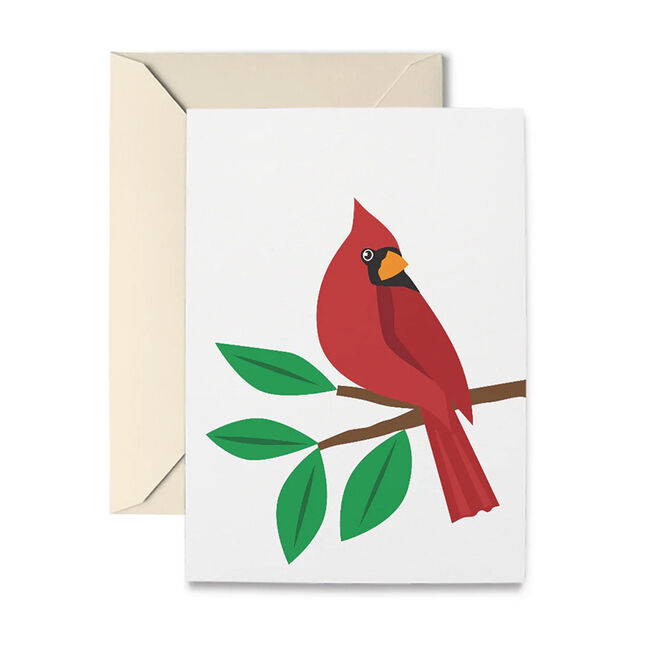 R. Nichols Note Cards - Cardinal - 10-Pack image number null