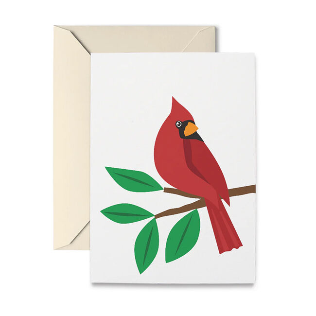 R. Nichols Cardinal Note Cards - 10-Count image number null