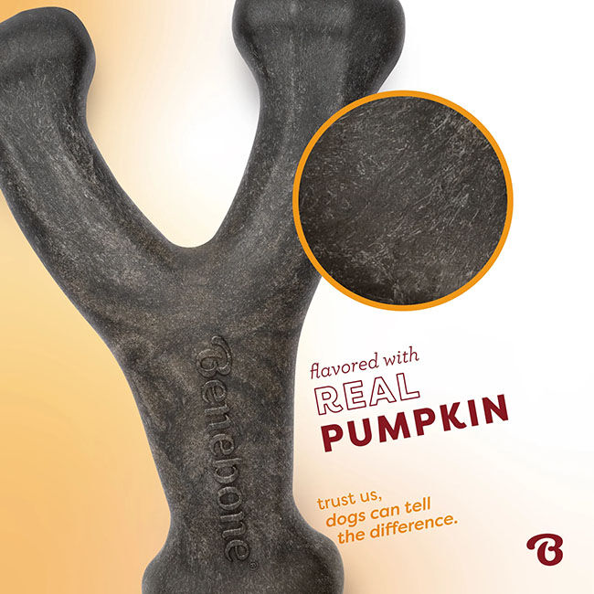 Benebone Wishbone Dog Chew - Pumpkin Spice Flavor image number null