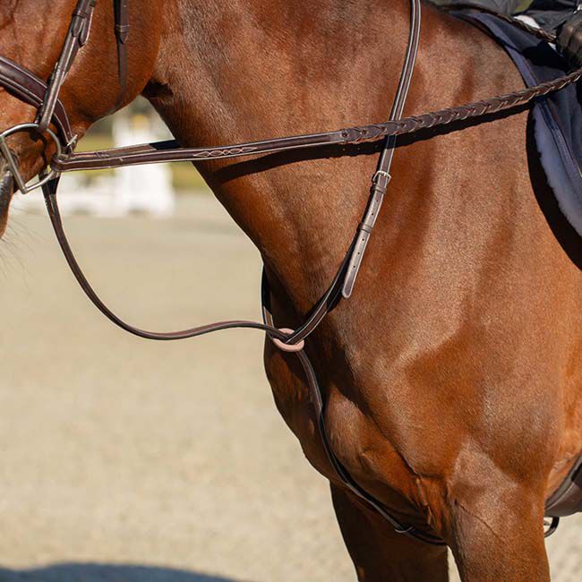 Equinavia Valkyrie Fancy Stitched Standing Martingale - Chocolate Brown image number null
