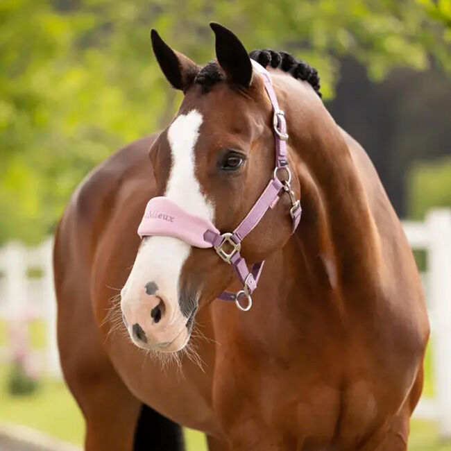 LeMieux Vogue Halter & Lead Rope - Mallow image number null