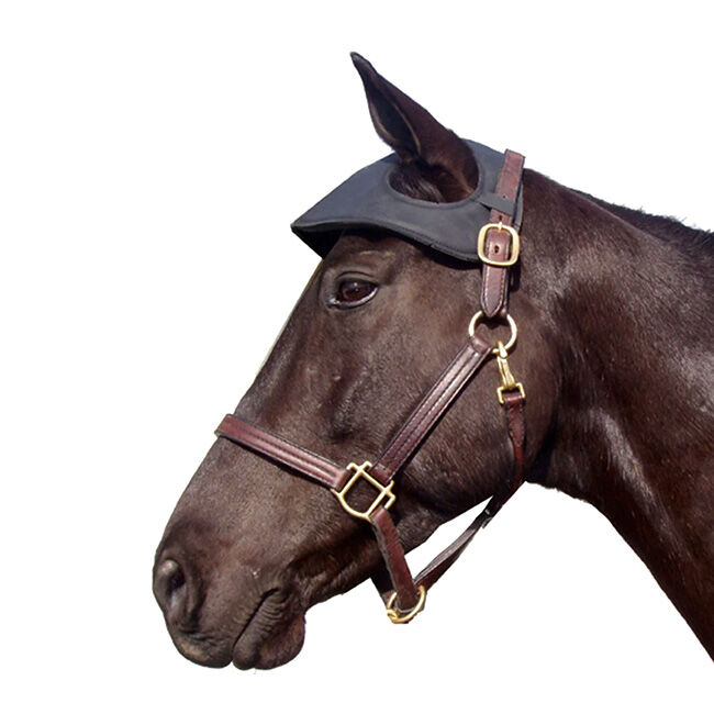 Intrepid Neoprene Head Bumper image number null