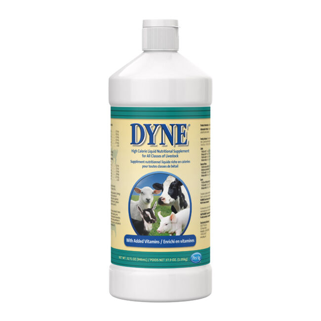 PetAg Dyne High Calorie Liquid Nutritional Supplement for Livestock image number null
