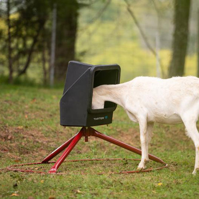 Tarter Small Animal Mineral Feeder image number null