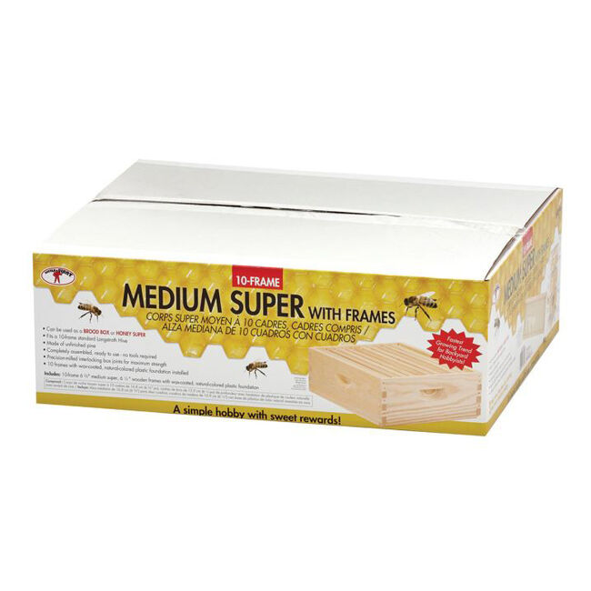 Little Giant 10-Frame Medium Super with Frames image number null