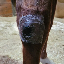 Hydra-Heal ClearPatch - Transparent Adhesive Bandages - 10-Pack