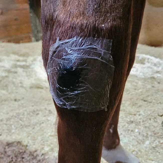 Hydra-Heal ClearPatch - Transparent Adhesive Bandages - 10-Pack image number null