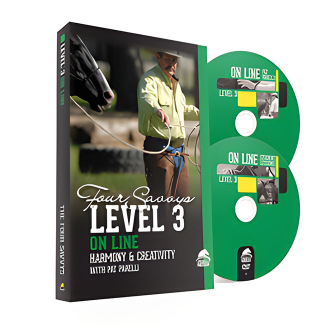 Parelli Savvy Series - Level 3 - On Line: Harmony & Creativity with Pat Parelli - DVD image number null