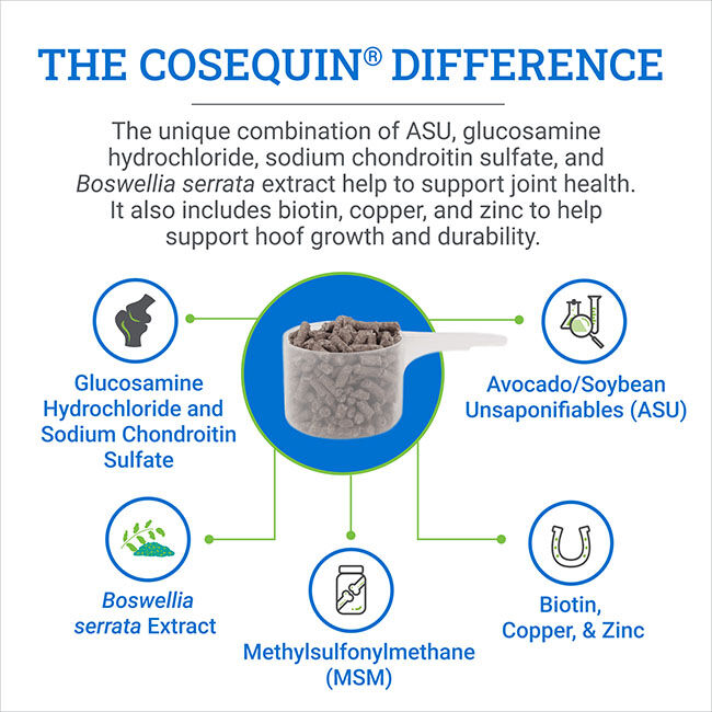 Nutramax Laboratories Cosequin ASU Joint & Hoof Pellets Joint Health Supplement for Horses - Pellets with Glucosamine, Chondroitin, MSM & Biotin image number null