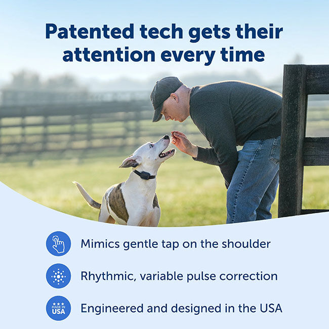 PetSafe Core Dog Trainer with Remote image number null