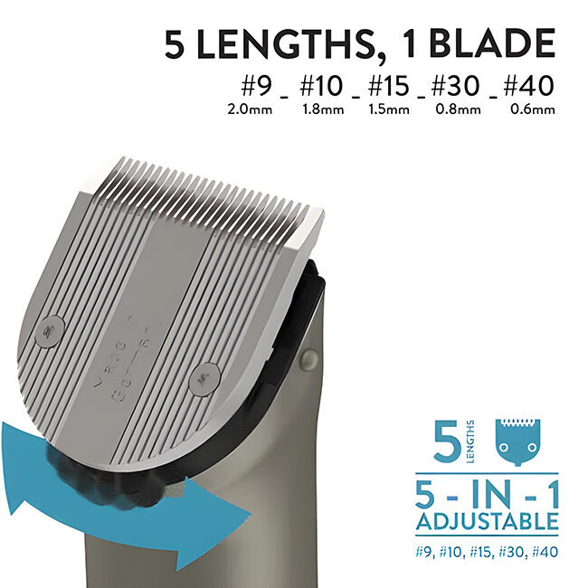 Wahl Arco Equine Kit image number null