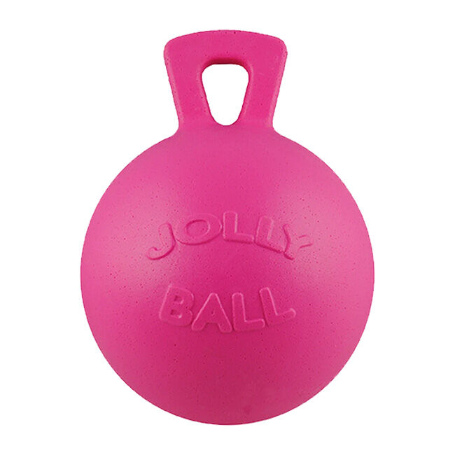 Horsemen's Pride Scented Jolly Ball Horse Toy image number null
