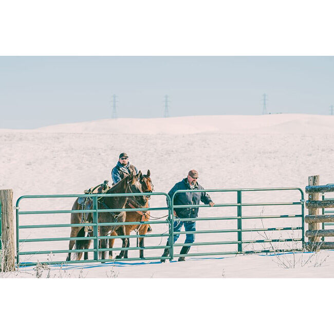 Behlen Country AgStar Gate - Green image number null