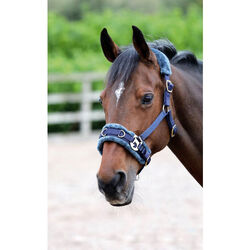 Shires Fleece-Lined Lunge Cavesson with Fleece Padded Poll