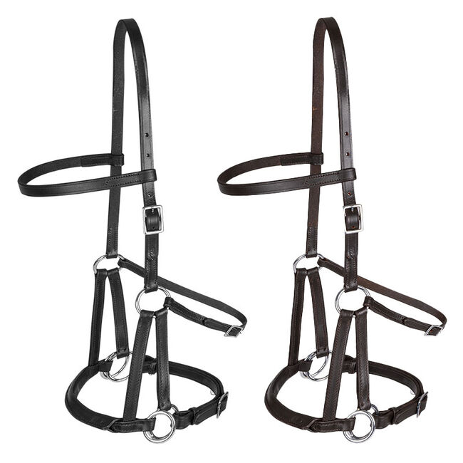 Waldhausen Linda Tellington-Jones Lindell Bitless Bridle image number null