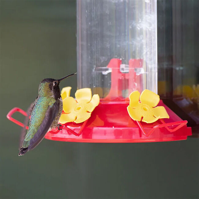 Perky-Pet Window-Mount Hummingbird Feeder image number null