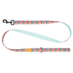 RC Pets Eco Dog Leash - Wildflowers/Dainty Mint