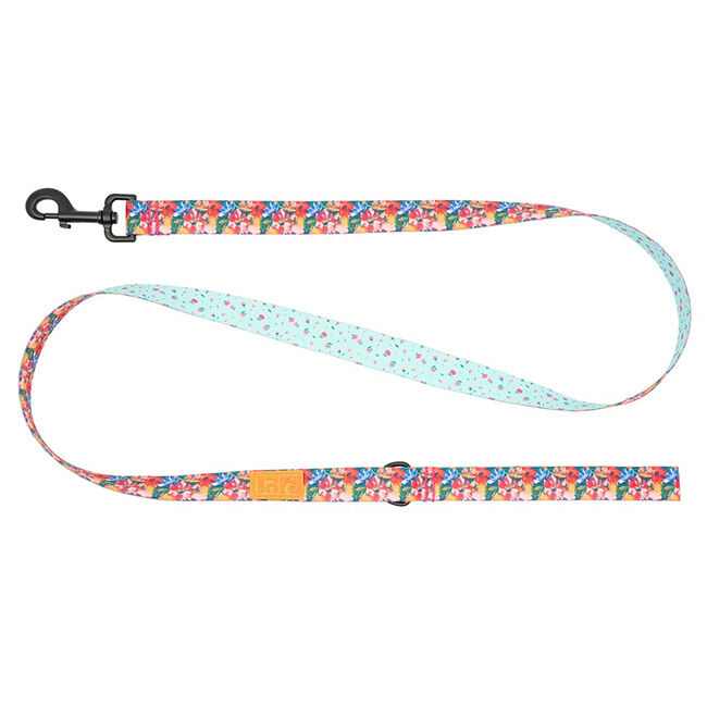 RC Pets Eco Dog Leash - Wildflowers/Dainty Mint image number null