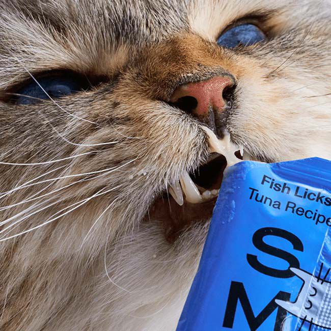 Smalls Licks Cat Treats - Fish Licks - Tuna Recipe - 8-Pack image number null