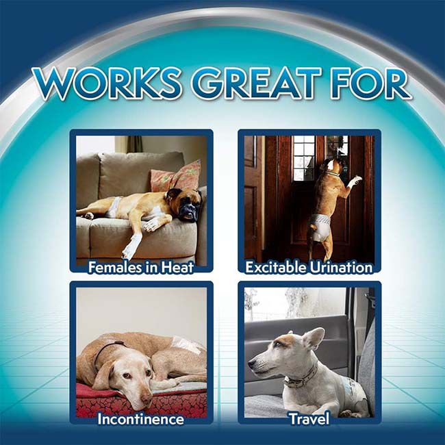 Simple Solution Disposable Female Dog Diapers - 12-Count image number null