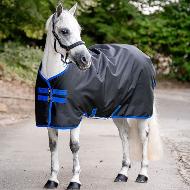 Horseware Amigo Ripstop 900D Pony Turnout (200g) - Black/Classic Blue image number null