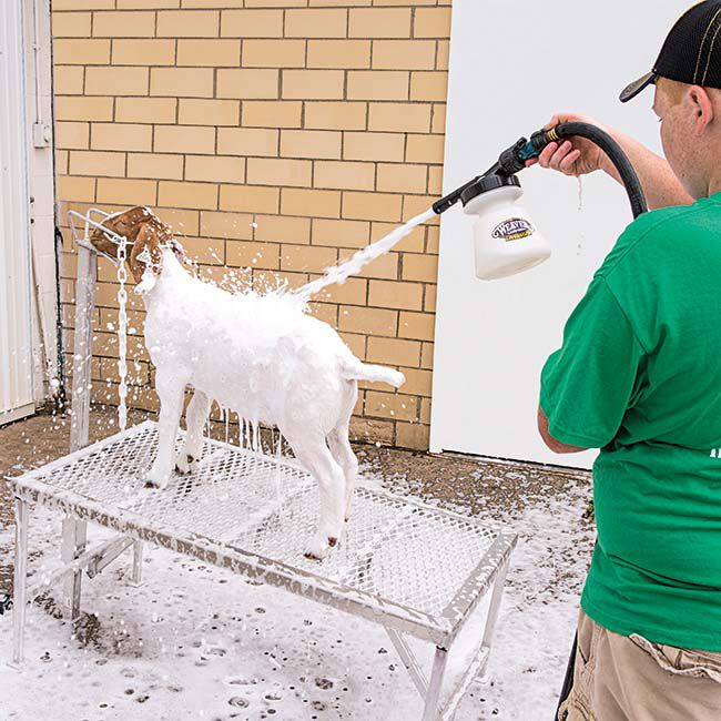 Weaver Livestock Mild Foam Shampoo - 1 Quart image number null