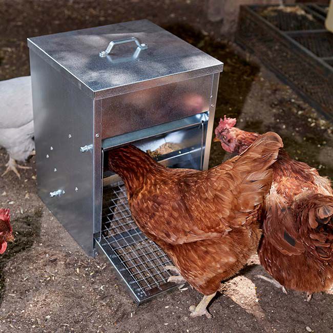 Little Giant Galvanized Treadle Feeder - 22 lb Capacity - Closeout image number null