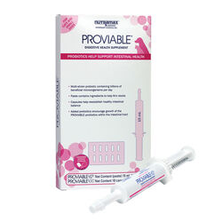 Nutramax Proviable Paste & Capsules Digestive Health Supplement Kit for Dogs & Cats
