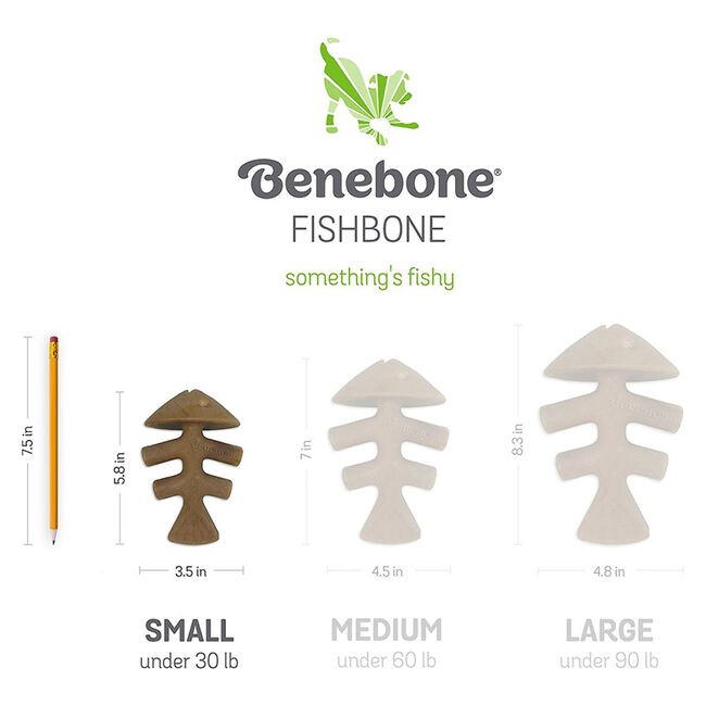 Benebone Fishbone Dog Chew - Jack Salmon Flavor image number null