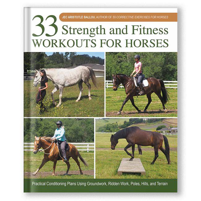 33 Strength and Fitness Workouts for Horses: Practical Conditioning Plans Using Groundwork, Ridden Work, Poles, Hills, and Terrain image number null